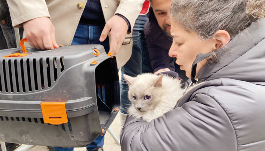 Şefkat sana çok yakışıyor Türkiye