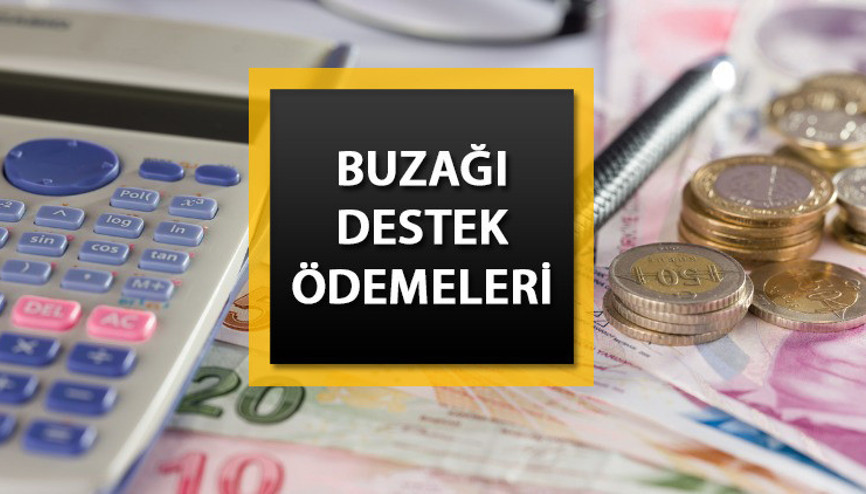 BUZAĞI DESTEĞİ ÖDEMELERİ YATTI MI | 2023 Buzağı desteği ödemeleri ne zaman yatacak Çiftçi destek ödemeleri hakkında beklenen açıklama