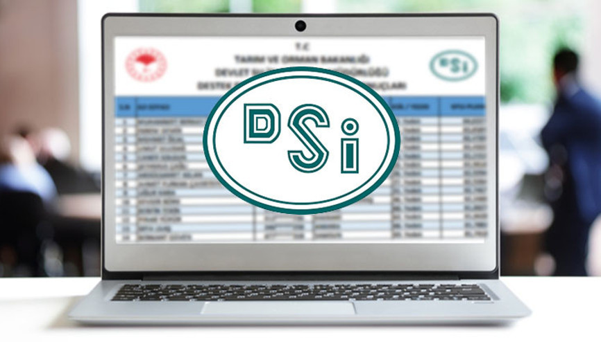 DSİ personel alımı sonuçları ve kazanan isim listesi sorgulama: 2023 DSİ 1273 sözleşmeli personel alımı başvuru sonuçları açıklandı mı