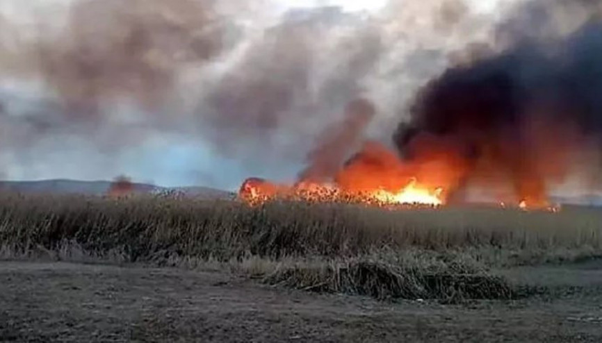 Vanın Erciş ilçesinde sazlık alanda çıkan yangın 3 saatte söndürüldü