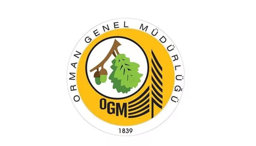 Ulusal orman envanteri yapım hizmeti alınacak