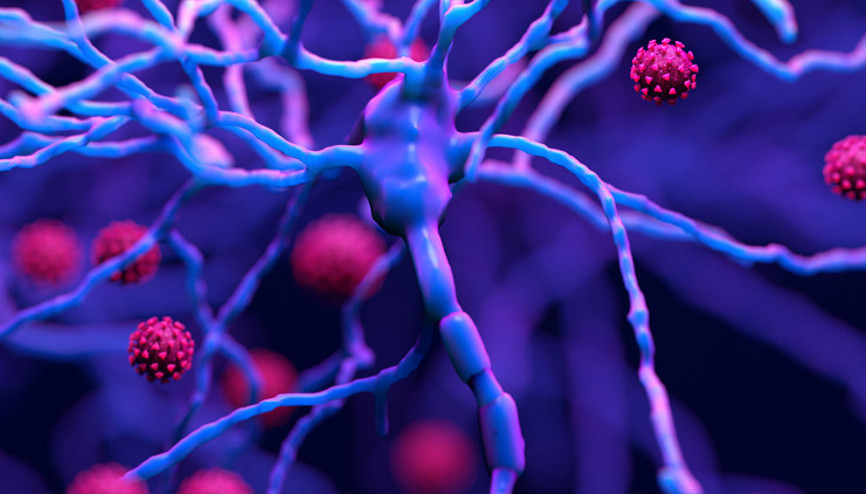 Tanzanya’da Marburg virüsünden 5 kişi öldü