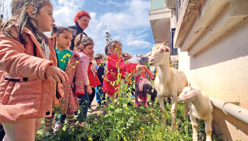 Birbirlerini iyileştiriyorlar