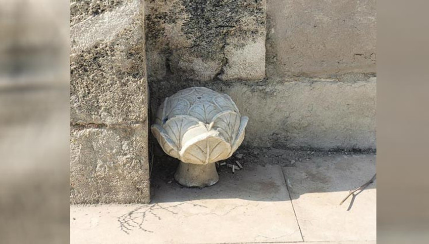 ‘Lahanacılar’ koruma altında