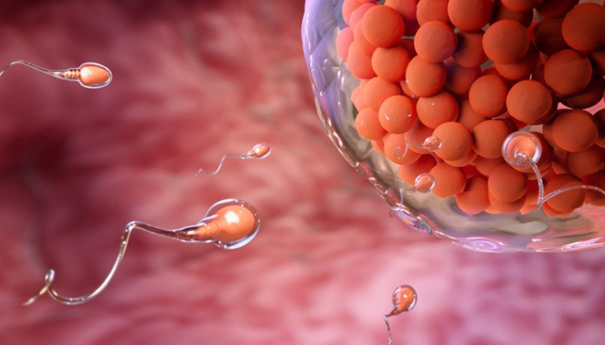 Menide “Sıfır Sperm”: Azospermi ve türleri Menide “Sıfır Sperm”: Azospermi ve türleri