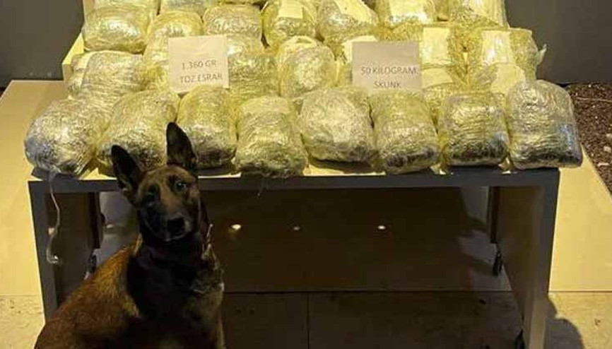 51 kilo skunk ele geçirildi