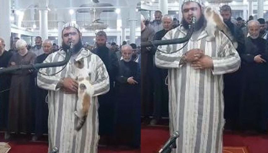 Teravih namazını kıldıran imamın üstüne atlayan kedi gündem oldu