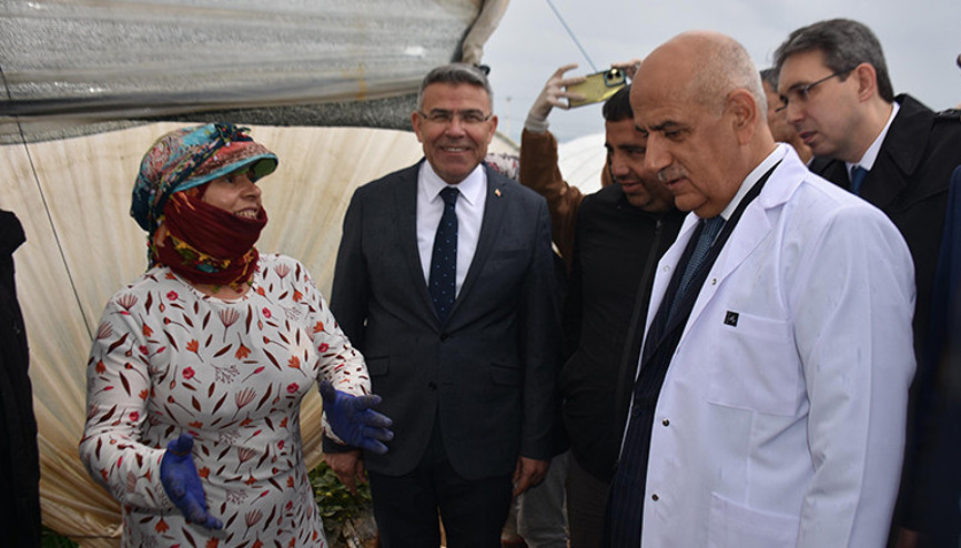 Bakan Vahit Kirişci: Örtü altı üretim alanı 811 bin dekara çıktı