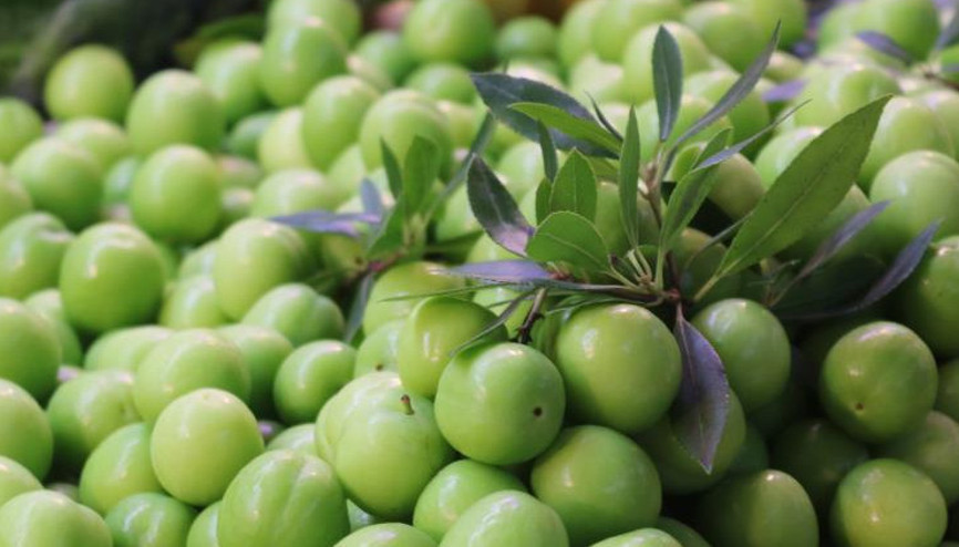 Erik 300 liradan satılıyor