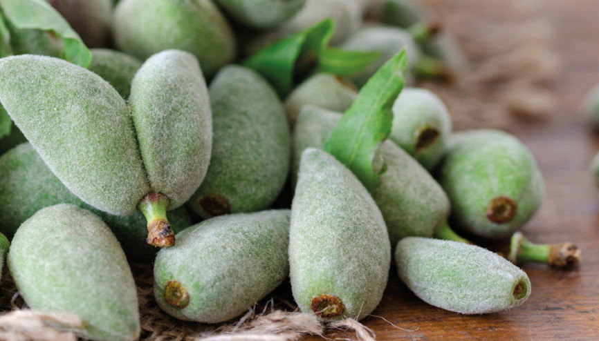 Turşusunu kuralım, konfisini yapalım...