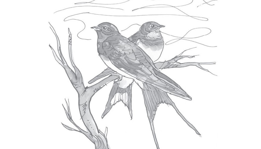 Doğa, insan ve edebiyat portreleri Doğa, insan ve edebiyat portreleri