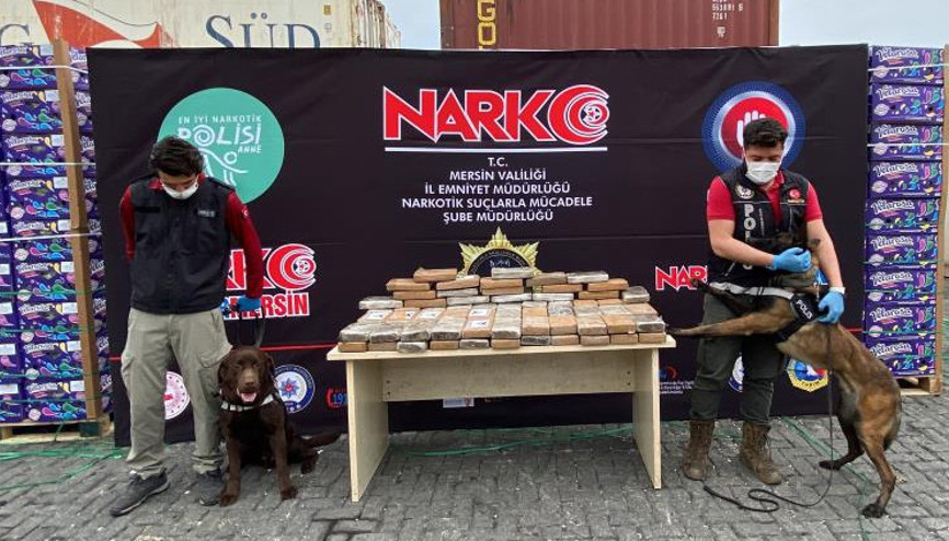 Mersin Limanında muz yüklü konteynerde ele geçirildi: Tam 97 kilo 500 gram