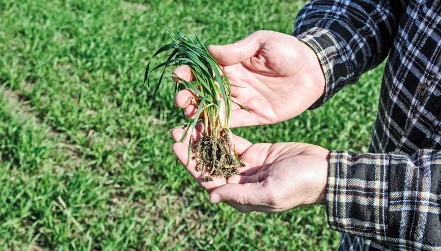 Selin zararını destekle azaltırız Selin zararını destekle azaltırız