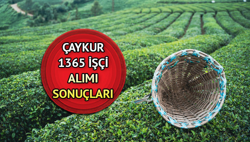 ÇAYKUR KURA SONUCU SORGULAMA EKRANI 14 NİSAN 2023 | Çaykur kura çekimi sonuçları açıklandı mı  Çaykur bin 365 mevsimlik işçi alımı kura sonucu isim listesi 2023