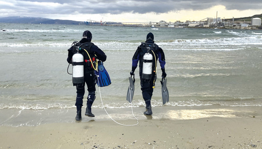 Birbirinin son umudu Marmara denizi ve pinalar Birbirinin son umudu Marmara denizi ve pinalar