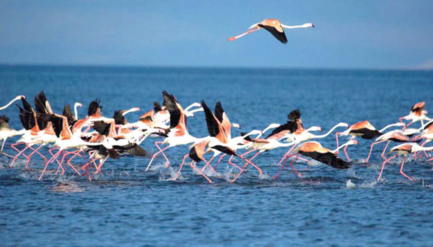 İlk kafile Van Gölü’nde