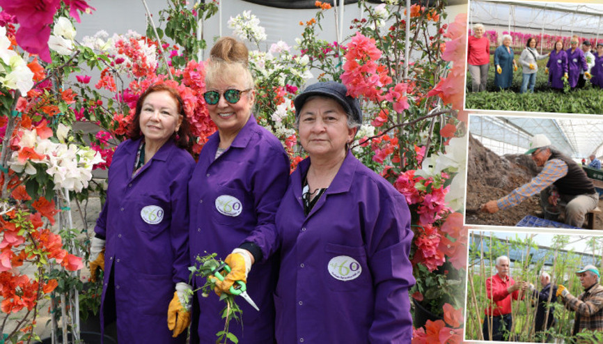 60 yaş üstü stajyerler iş başında