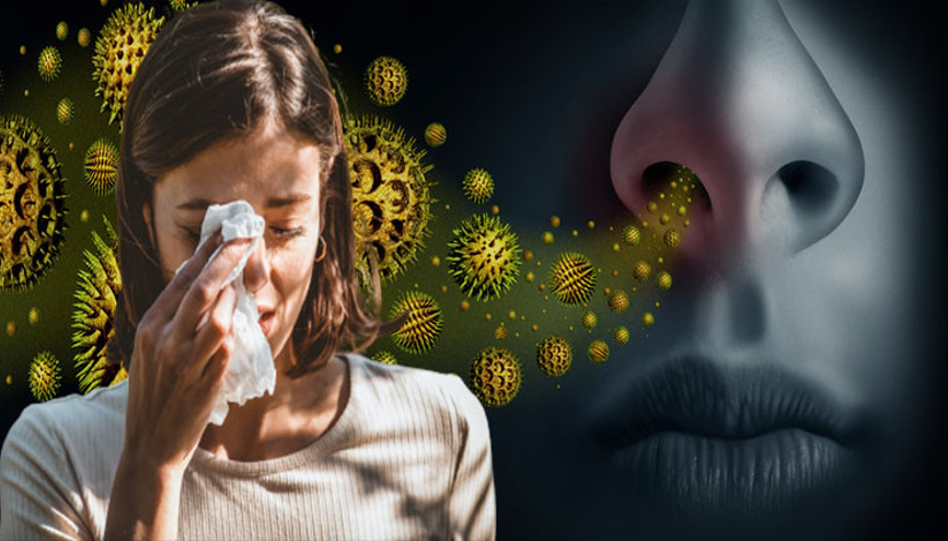 Bahar alerjisi artık daha güçlü ‘Şiddetli bulgularla ilk defa başvuran hastamız çok fazla | 7 SORU 7 YANIT Bahar alerjisi artık daha güçlü ‘Şiddetli bulgularla ilk defa başvuran hastamız çok fazla | 7 SORU 7 YANIT