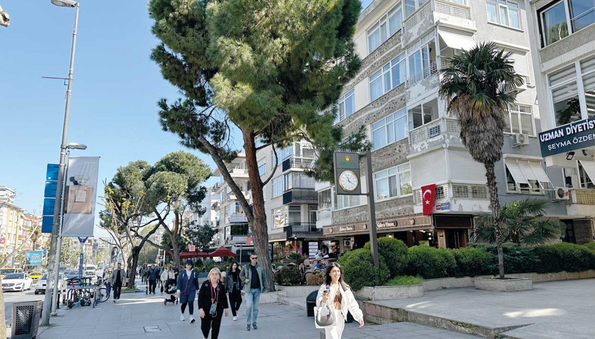 Sen neymişsin Suadiye