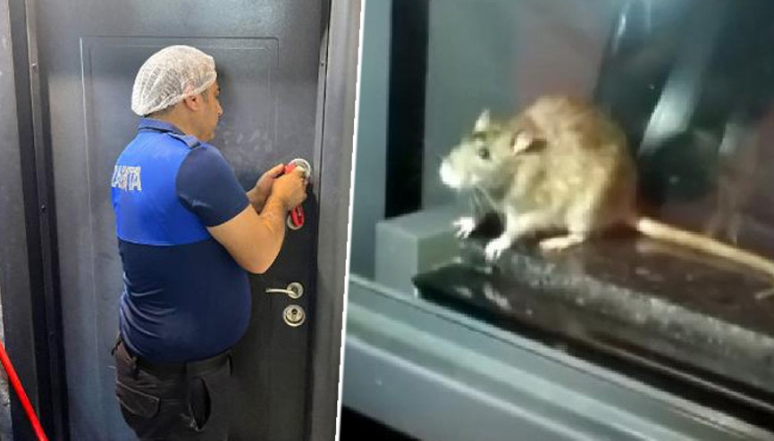 Fare görülen fırın mühürlendi, tüm ürünler imha edildi