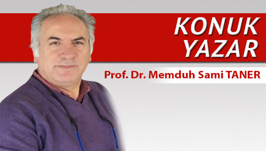 Deprem travması ve sınav stresi nasıl yönetilmelidir Deprem travması ve sınav stresi nasıl yönetilmelidir