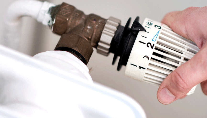 ‘Habeck ısrar ederse, koltuğundan olur’