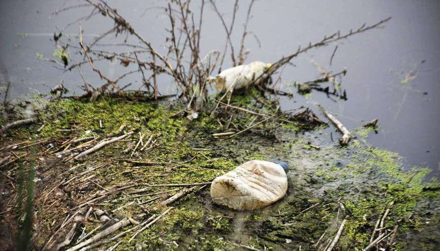 Ergene Nehri’nin suyu 3’üncü derece kirli