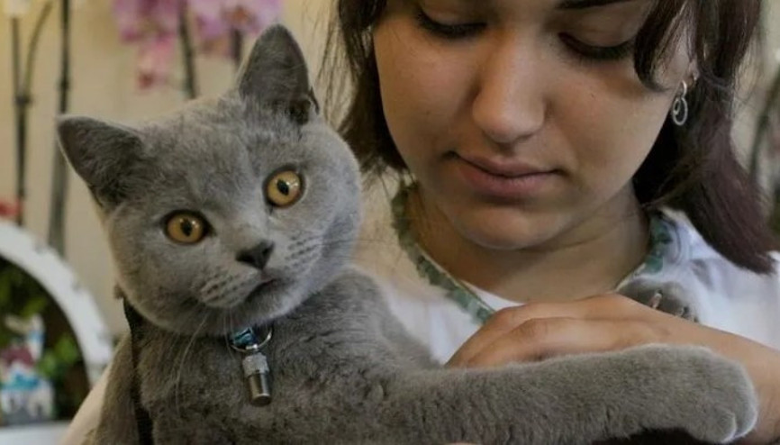 Adanada hırsızlık için girdiği çiçekçiden kedi çaldı Adanada hırsızlık için girdiği çiçekçiden kedi çaldı