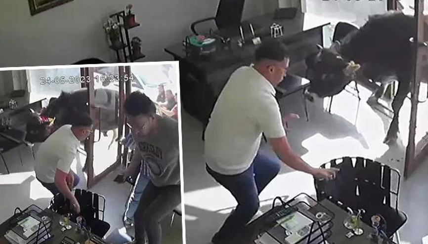 Mezbahadan kaçan boğa kamerada