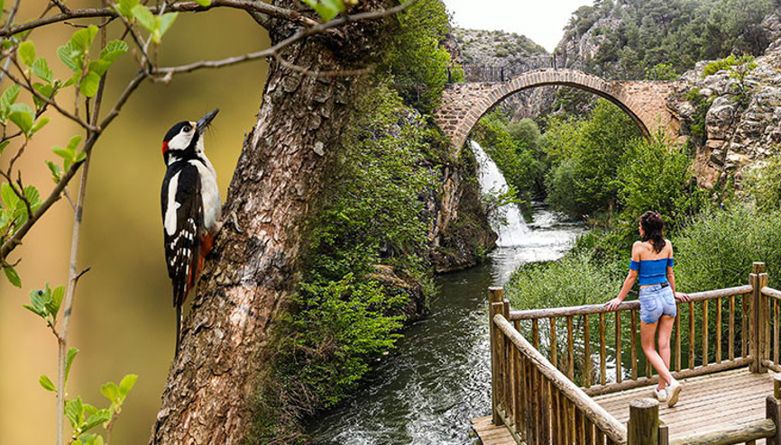 Sağlıklı bir yaşam için ilaç niteliğinde... Kuş sesleri içinde gezilecek adresler | 9 ŞEHİR 10 ÖNERİ