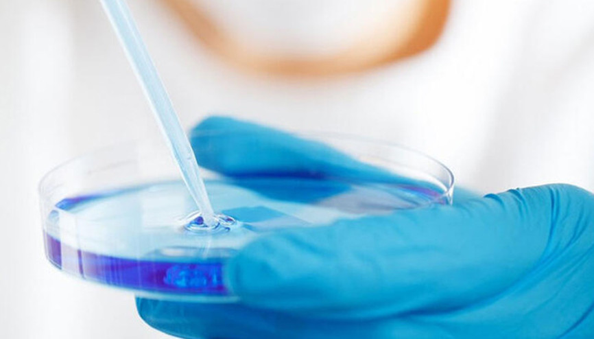 Yapay zekayla antibiyotik dirençli ve öldürücü bir bakteriye karşı antibiyotik bulundu