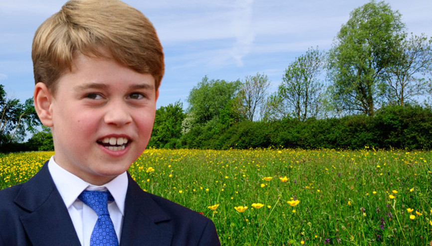 Miras değil... Daha bebekken yabancı ülkede toprak sahibi oldu: Kır çiçekleri de yeni doğan bebekler kadar kırılgandır