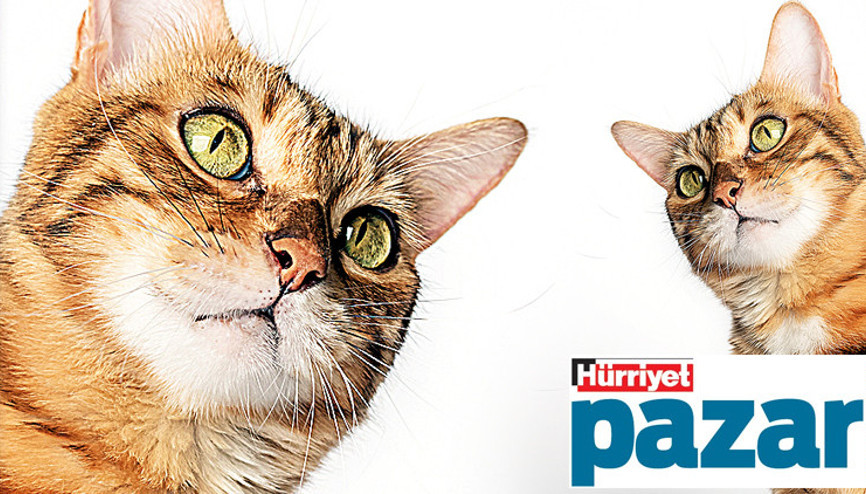 Muhabbetine doyum olmaz