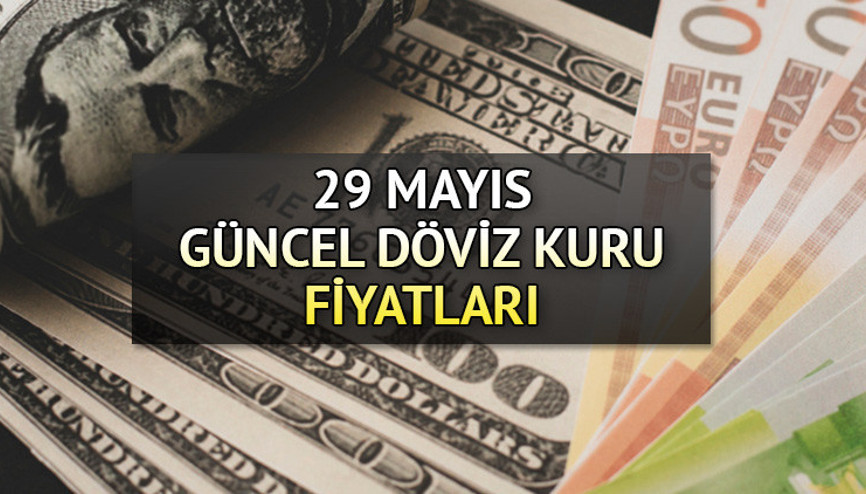 Bugün dolar (USD) ve Euro ne kadar 1 Dolar Kaç TL İşte 29 Mayıs döviz kuru fiyatlarında son durum