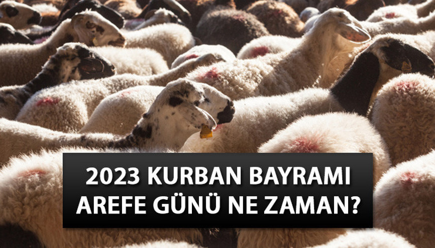 AREFE GÜNÜ TARİHİ 2023: Arefe günü ne zaman, ayın kaçında Arefe günü yarım gün mü, tatil mi 2023 Diyanet takvimi ile Kurban Bayramı günleri... AREFE GÜNÜ TARİHİ 2023: Arefe günü ne zaman, ayın kaçında Arefe günü yarım gün mü, tatil mi 2023 Diyanet takvimi ile Kurban Bayramı günleri...