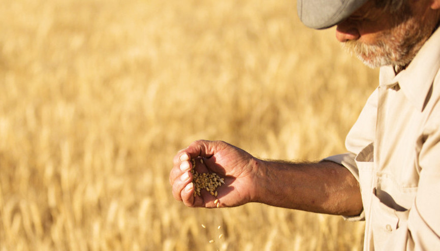 Küresel gıda fiyatları düşüyor
