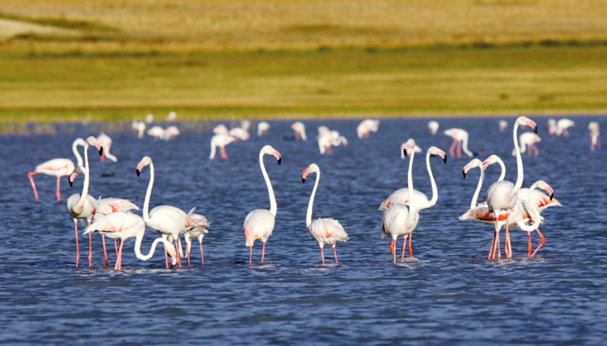 Tüm havzalarda ‘su ayak izi’ hesaplanacak