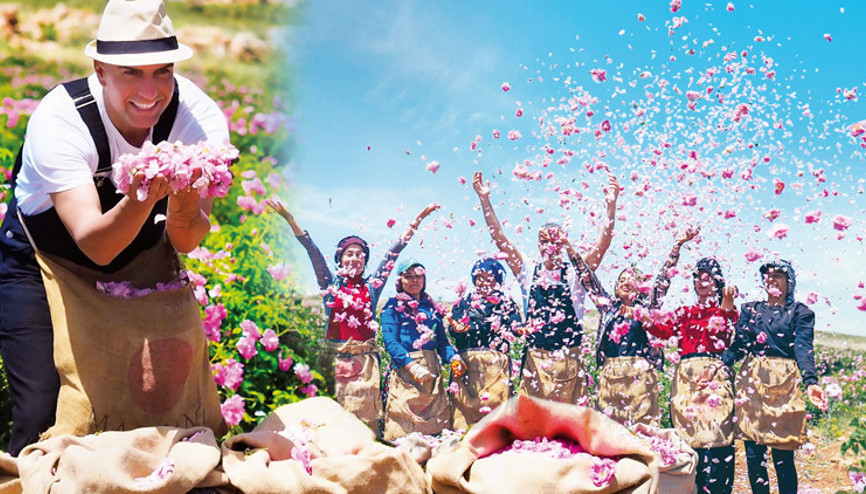 120 milyon TL yatırım yapmıştı... Sezonun ilk mahsullerini topladı