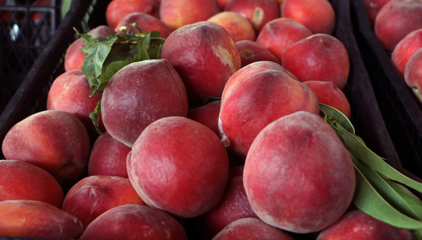 Halden markete şeftalide yüzde 285 kâr Halden markete şeftalide yüzde 285 kâr