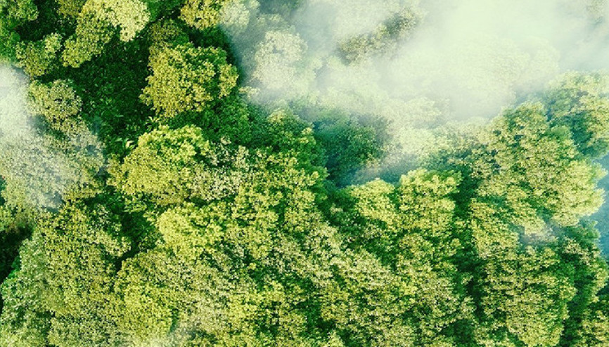 Toplanan 29,4 ton elektronik atık yüzlerce çocuğun eğitimine destek oldu