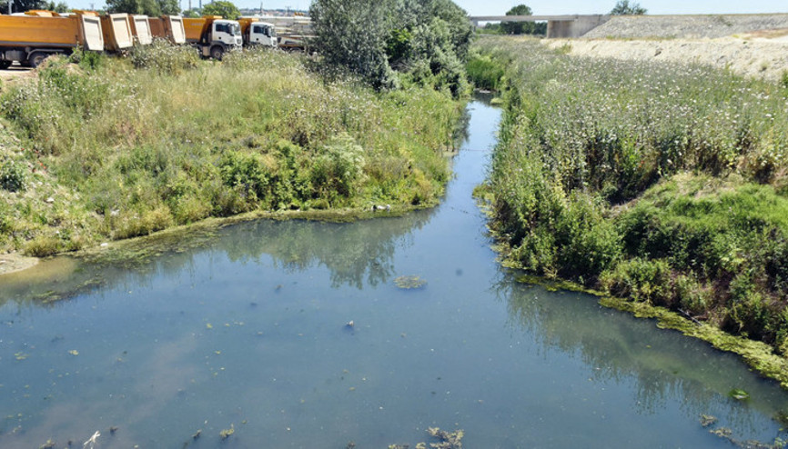 Kirlilikten yeşile döndü Çevre halkı kokudan rahatsız