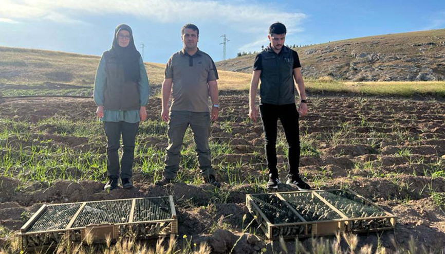 Sınır kapısında aracında 550 saka kuşu bulundu, 720 bin lira ceza uygulandı