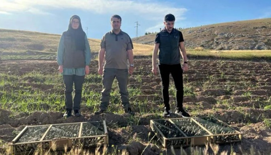 Sınır kapısında aracında 550 saka kuşu bulundu, 720 bin lira ceza uygulandı