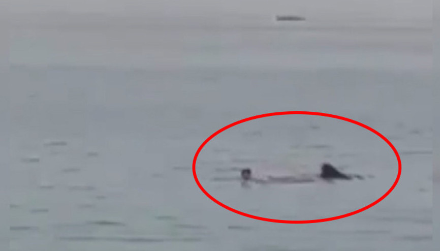 Mısırda köpekbalığı saldırısına uğrayan Rus turist öldü O anlar kamerada