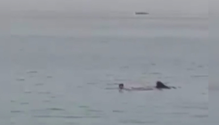 Köpekbalığı saldırısına uğrayan Rus turist öldü