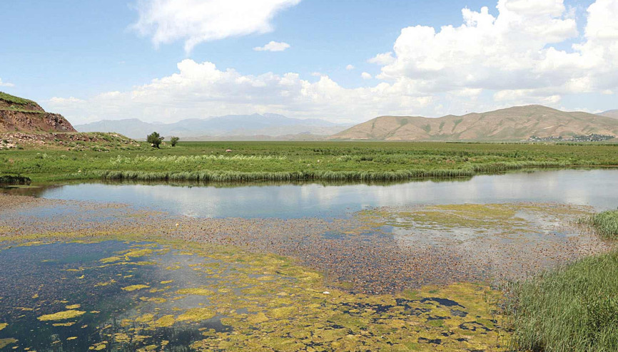 Kuş cenneti yok oluyor