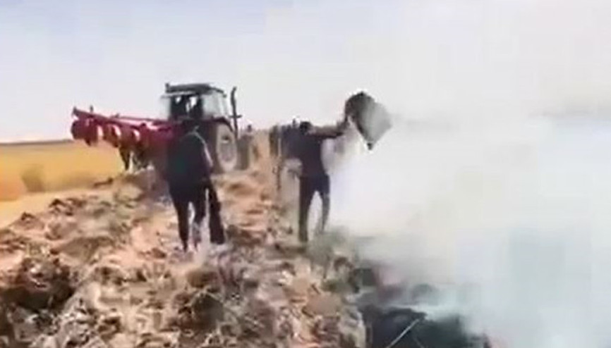 Mardinde 150 dönüm alanda ekili buğday yandı Mardinde 150 dönüm alanda ekili buğday yandı