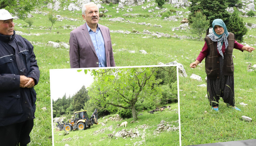 Üzücü görüntü... Üzerlerine yıldırım düşen 13 keçi öldü