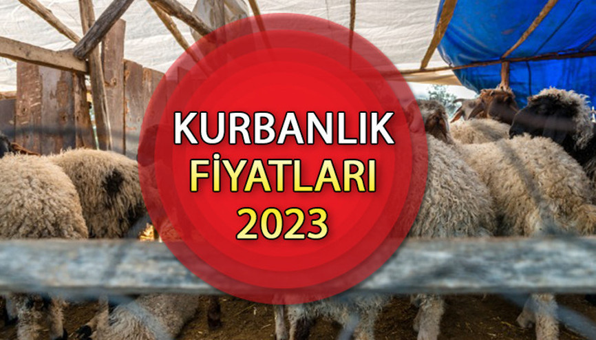 KURBANLIK FİYATLARI 2023 (Büyükbaş, küçükbaş) || Kurbanlık koyun, keçi, dana fiyatları ne kadar, kaç TL oldu Kurbanlık fiyatı nasıl belirlenir
