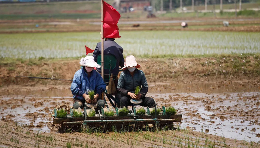 Kuzey Korede durum vahim:‘Komşularımız açlıktan öldü’